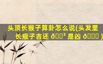 头顶长猴子算卦怎么说(头发里长瘊子吉还 🐳 是凶 🐒 )